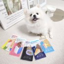 맘마수제간식 | 기호성 좋은 펫프레시 강아지 수제 간식 급여 후기~