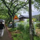 (주)참송엽주