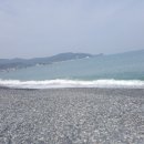 주전블루베리 이미지