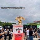 월디페 2025 - 월드 디제이 페스티벌 서울 현장 후기ANYMA 첫 내한 EDM 페스티벌 정복기 서울대공원...