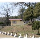 흥왕초등학교 이미지