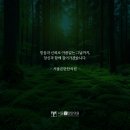 서울본탄탄의원 이미지