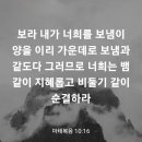 마태복음 10장16절 이미지