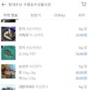 [공지] 수원 농수산물시장 대하시세, 활새우, 전어 구매 솔직 후기