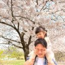 목마송이 이미지