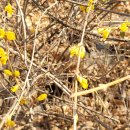 운암지 수변공원 이미지