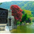 호수가 아름다운집 이미지