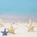 자연모두 이미지