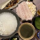 오징어 데이 티스토리
