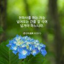천하사 티스토리