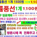 광주 헬륨풍선 1개 1100원 광주풍선친구 할인이벤트 이미지