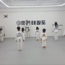유본태권도 이미지
