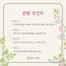 꽃망울피아노 앞 | 홍성의 사계절 음악이 내 마음을 사로잡은 이유