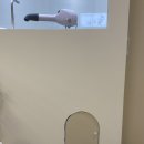 송댕송댕 | [광주애견미용] 강아지 가위컷 잘하는 귀염뽀짝 애견미용샵 &lt;송댕송댕&gt;