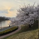 대구선동촌공원3 이미지