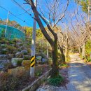 광영그라운드골프장 이미지