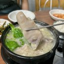 애월볕 이미지