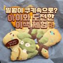 의령장식 - 사하구 감천로139번길 14 | 곤충 쿠키 만들기 체험! 아이랑 다녀온 의령곤충생태학습관 후기