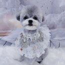 그루밍 하니 이미지