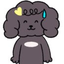 동글이셀프세차장 이미지