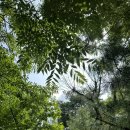 옥산로10번길 이미지