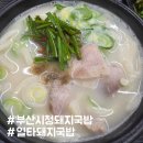 [부산] 부산시청 돼지국밥 맛집 일타돼지국밥 솔직후기