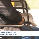 샤또 이미지