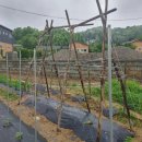 주대농장 이미지