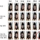 제로푸드