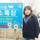 신향소목장 이미지