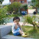 저전공원 Daum카페
