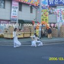 대도유통