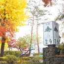 송원족발 이미지