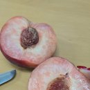 경봉마트 | 9.3 일기) 유명복숭아 경봉복숭아 온라인주문 후기