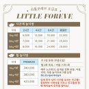 리틀 포레브 네이버블로그
