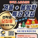 해빛4로 네이버블로그