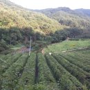 의풍휴게소식당 이미지