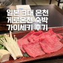 호텔화 | 일본 3대 온천 게로온천 200년 전통 야마가타야 료칸 숙박 가이세키 조식 추천 후기