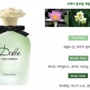 앤돌체 네이버블로그