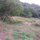 집현면사무소 이미지