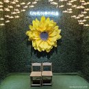 단양군평생학습센터 2층 | 단양 여행 추천 [2] | 국내 최대 민물 생태 관광지 &#39;다누리아쿠아리움&#39;