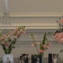 피오니홀 예식후기 | 라끄벨르 본식드레스 | 대구...스냅 | 프롬메이스냅 | 라끄벨르 본식드레스 | 대구...