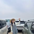 감샵