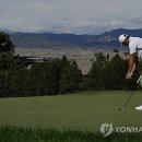 Green Colo 이미지