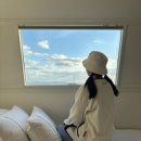 라포레스트 | ⛺️강화도 카라반 글램핑 여행｜오우스 카라반 캠핑장 1박 후기💖