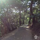 서천 영수암 목조보살좌상 이미지