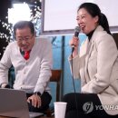 홍카 이미지