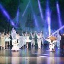 비바츠LED 태권발레 이미지