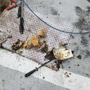 오수정육점 이미지