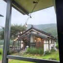 호수정감 이미지